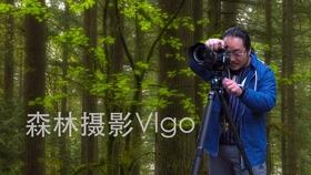 救援甜蜜熊