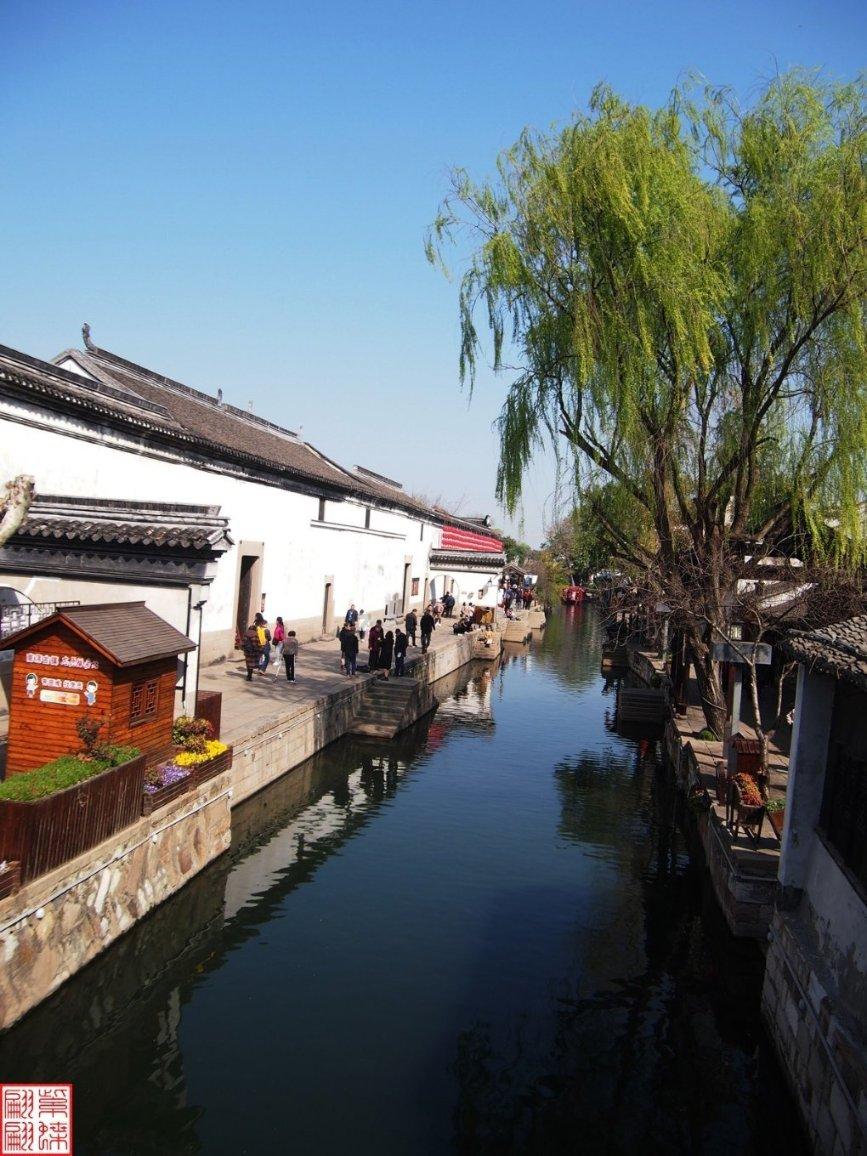产业有势头 农户有奔头(乡村行 看振兴)